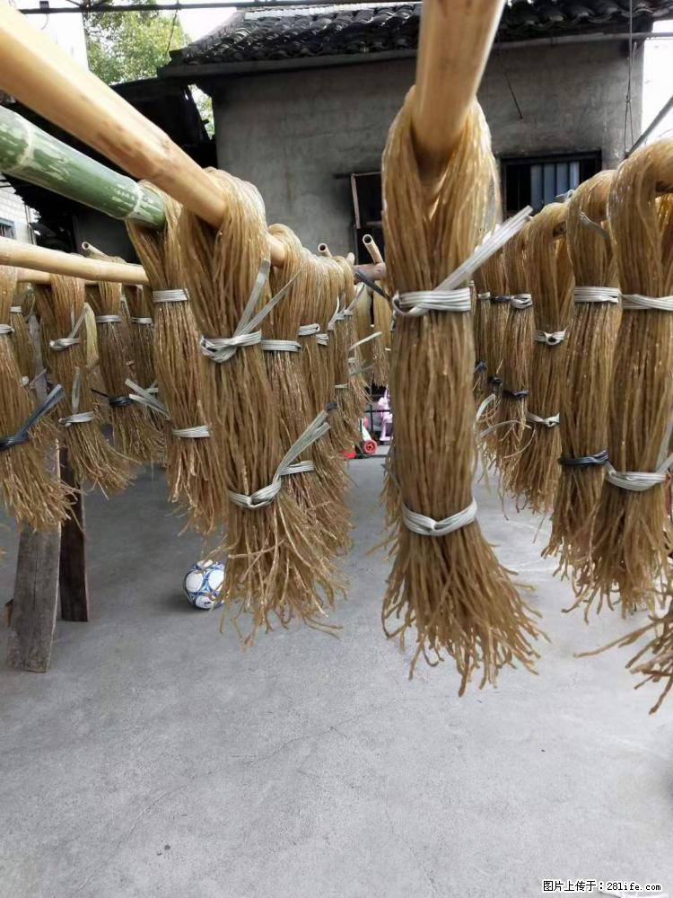 【灌阳正宗红薯粉】美女家里自己做的,干净卫生,假一赔十,价格合理,抢购电话:13737312895 - 美食天地 - 枣庄生活社区 - 枣庄28生活网 zaozhuang.28life.com