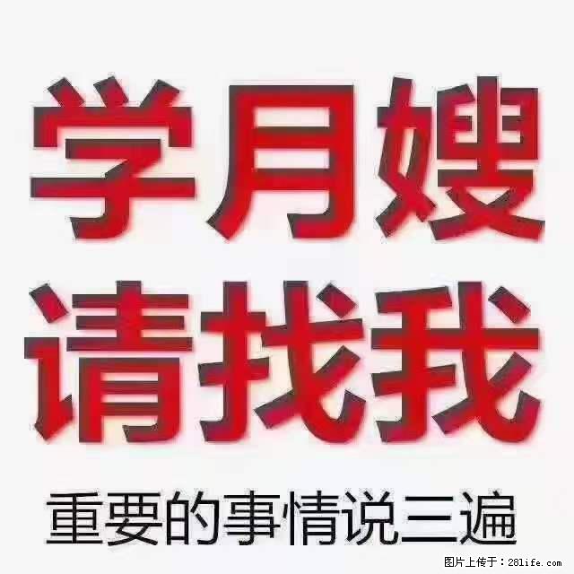 为什么要学习月嫂,育婴师? - 其他广告 - 广告专区 - 枣庄分类信息 - 枣庄28生活网 zaozhuang.28life.com
