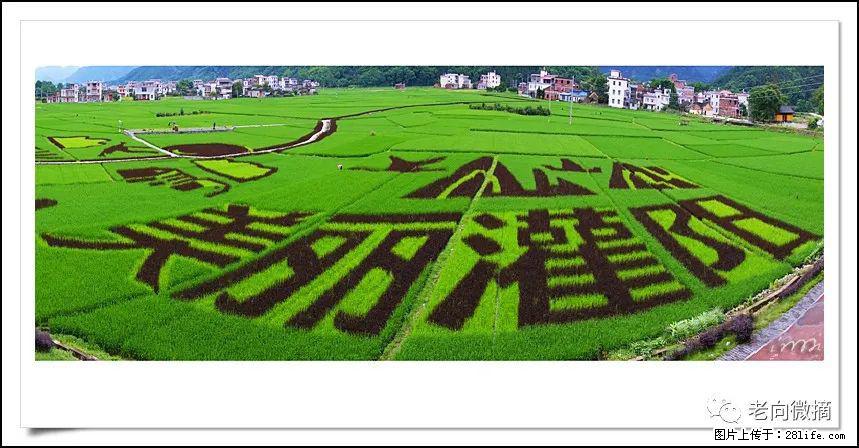 【春天,广西桂林灌阳县向您发出邀请!】开篇 - 游山玩水 - 枣庄生活社区 - 枣庄28生活网 zaozhuang.28life.com