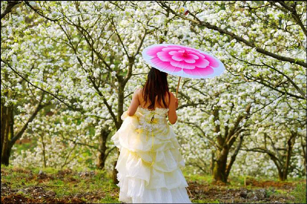 【春天，广西桂林灌阳县向您发出邀请！】我们在灌阳看梨花 - 游山玩水 - 枣庄生活社区 - 枣庄28生活网 zaozhuang.28life.com