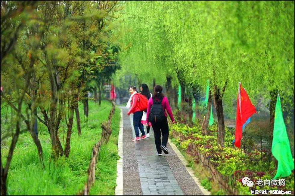 【春天，广西桂林灌阳县向您发出邀请！】江口老街又逢春 - 游山玩水 - 枣庄生活社区 - 枣庄28生活网 zaozhuang.28life.com