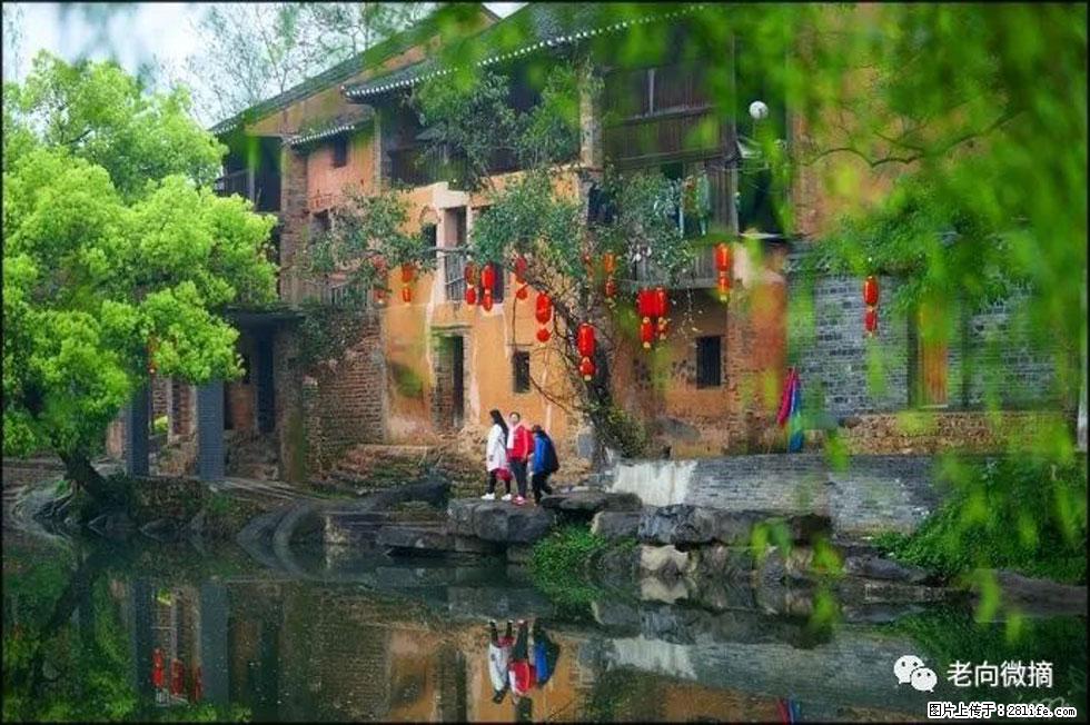 【春天，广西桂林灌阳县向您发出邀请！】江口老街又逢春 - 游山玩水 - 枣庄生活社区 - 枣庄28生活网 zaozhuang.28life.com