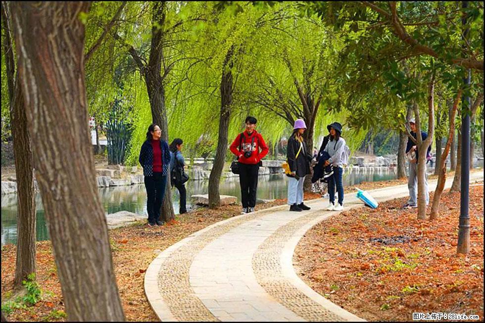 【春天，广西桂林灌阳县向您发出邀请！】江口老街又逢春 - 游山玩水 - 枣庄生活社区 - 枣庄28生活网 zaozhuang.28life.com