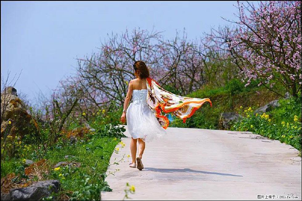 【春天，广西桂林灌阳县向您发出邀请！】望月岭上桃花开 - 游山玩水 - 枣庄生活社区 - 枣庄28生活网 zaozhuang.28life.com