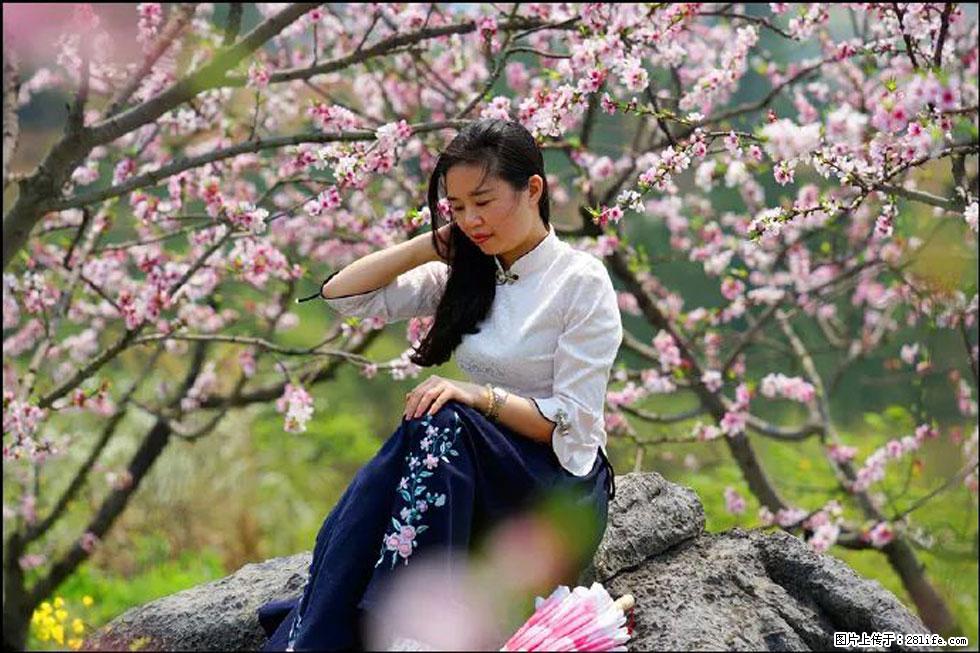 【春天，广西桂林灌阳县向您发出邀请！】望月岭上桃花开 - 游山玩水 - 枣庄生活社区 - 枣庄28生活网 zaozhuang.28life.com