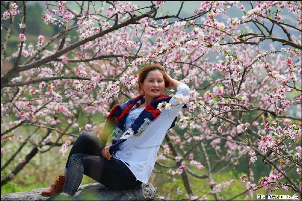 【春天，广西桂林灌阳县向您发出邀请！】望月岭上桃花开 - 游山玩水 - 枣庄生活社区 - 枣庄28生活网 zaozhuang.28life.com