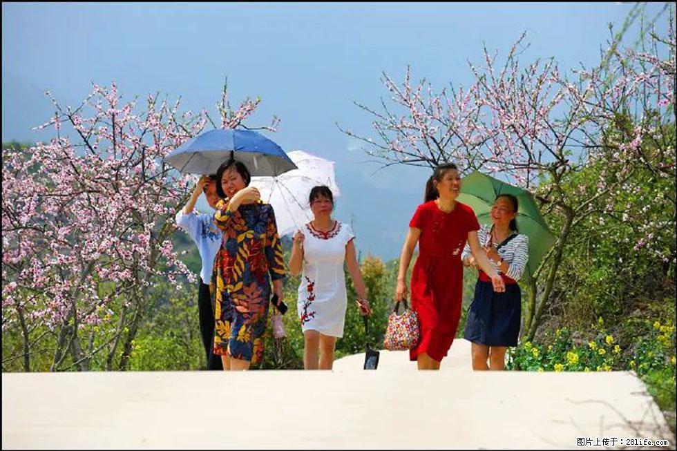 【春天，广西桂林灌阳县向您发出邀请！】望月岭上桃花开 - 游山玩水 - 枣庄生活社区 - 枣庄28生活网 zaozhuang.28life.com