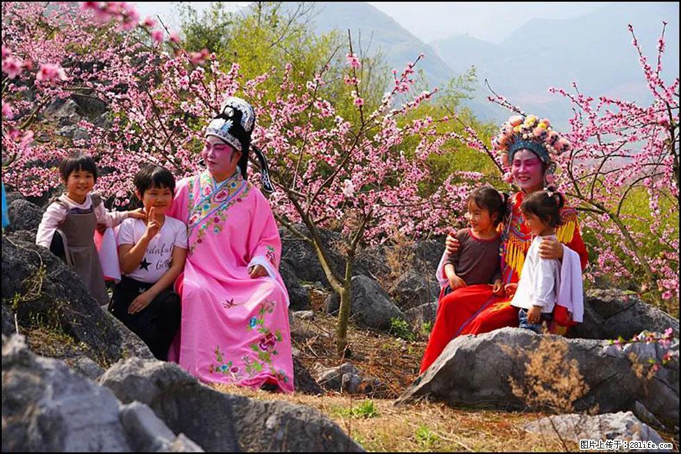 【春天，广西桂林灌阳县向您发出邀请！】望月岭上桃花开 - 游山玩水 - 枣庄生活社区 - 枣庄28生活网 zaozhuang.28life.com