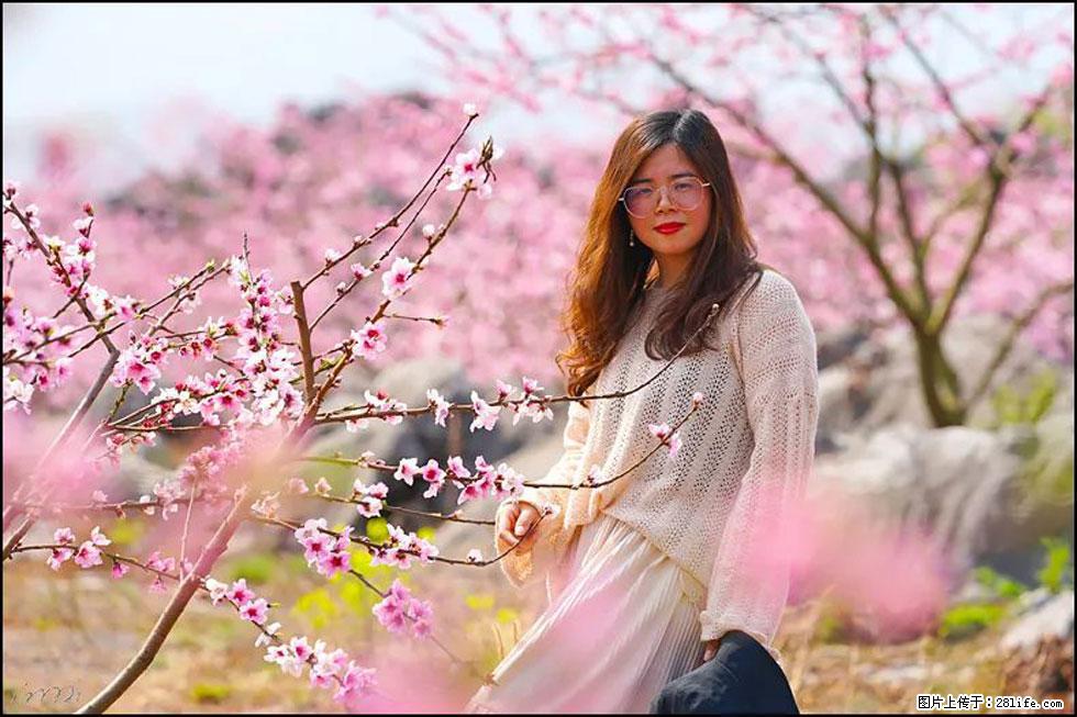 【春天，广西桂林灌阳县向您发出邀请！】望月岭上桃花开 - 游山玩水 - 枣庄生活社区 - 枣庄28生活网 zaozhuang.28life.com