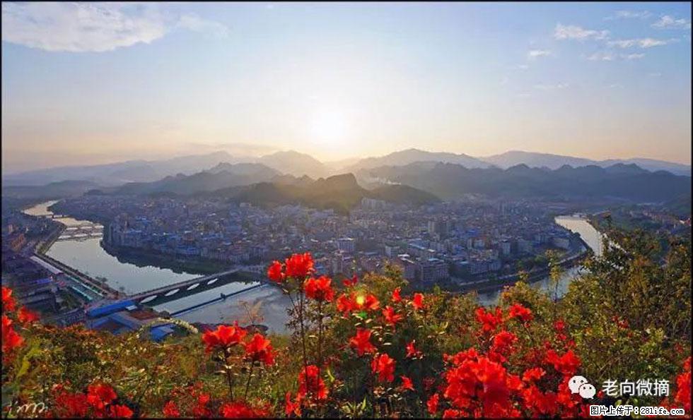 【春天,广西桂林灌阳县向您发出邀请!】登麒麟山,相约映山红 - 游山玩水 - 枣庄生活社区 - 枣庄28生活网 zaozhuang.28life.com