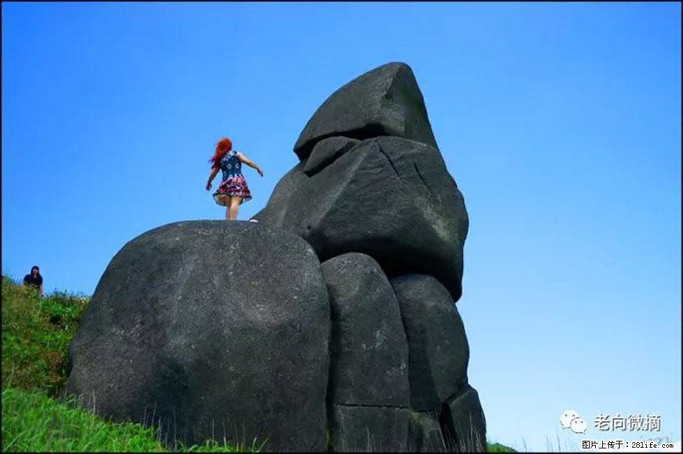 【春天，广西桂林灌阳县向您发出邀请！】宝盖山上映山红 - 游山玩水 - 枣庄生活社区 - 枣庄28生活网 zaozhuang.28life.com