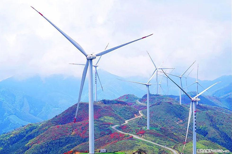 【春天，广西桂林灌阳县向您发出邀请！】春木界上映山红 - 游山玩水 - 枣庄生活社区 - 枣庄28生活网 zaozhuang.28life.com