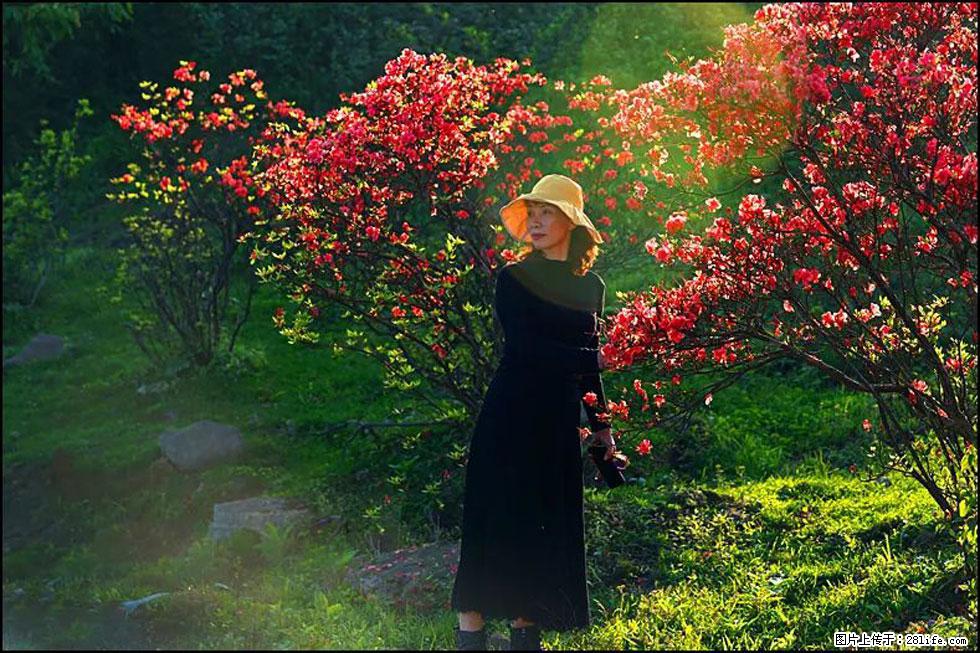 【春天，广西桂林灌阳县向您发出邀请！】春木界上映山红 - 游山玩水 - 枣庄生活社区 - 枣庄28生活网 zaozhuang.28life.com