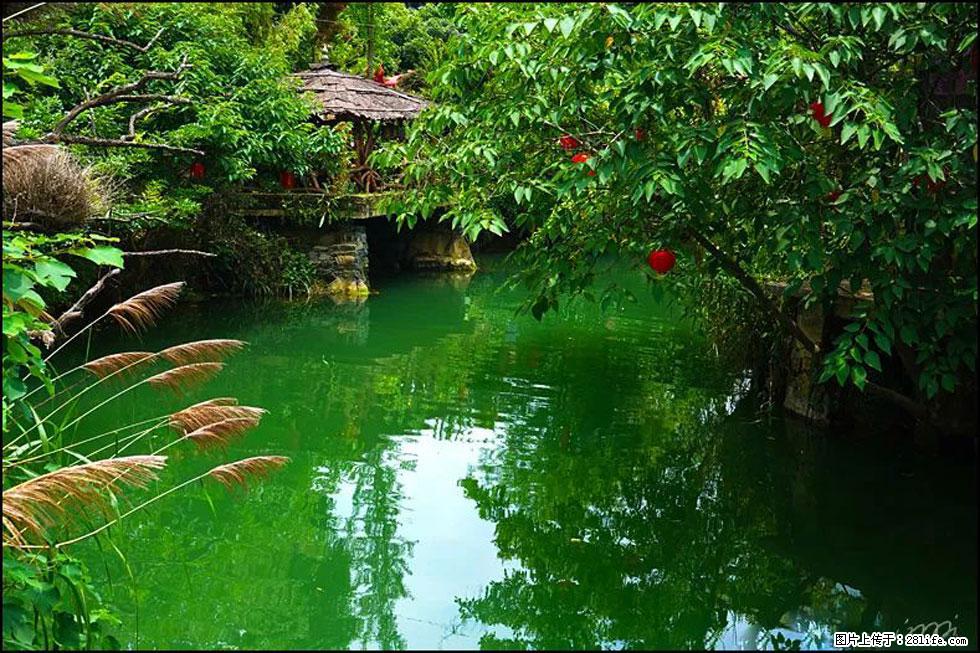 【春天,广西桂林灌阳县向您发出邀请!】如梦似幻莲溪庐 - 游山玩水 - 枣庄生活社区 - 枣庄28生活网 zaozhuang.28life.com