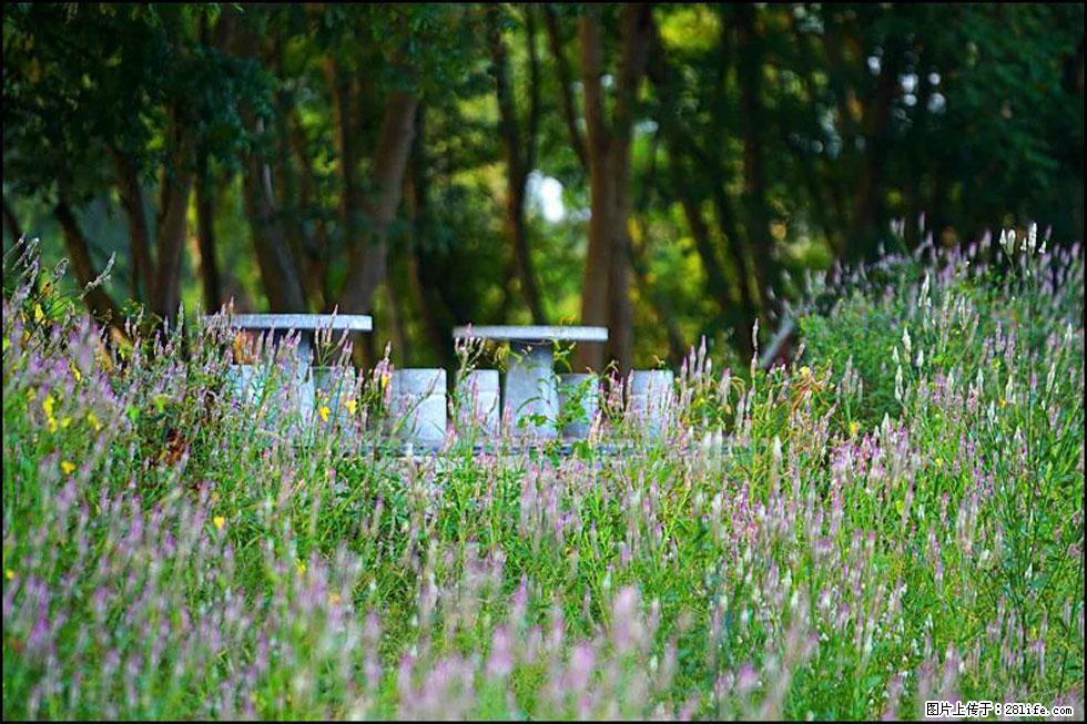 【春天,广西桂林灌阳县向您发出邀请!】熊家寨湿地公园 - 游山玩水 - 枣庄生活社区 - 枣庄28生活网 zaozhuang.28life.com