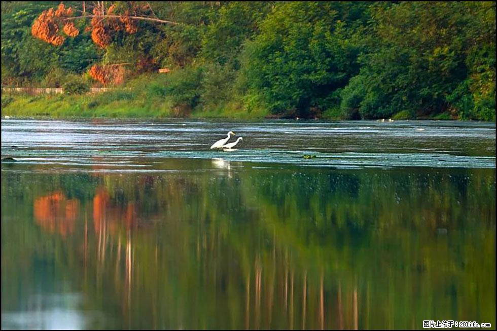 【春天,广西桂林灌阳县向您发出邀请!】熊家寨湿地公园 - 游山玩水 - 枣庄生活社区 - 枣庄28生活网 zaozhuang.28life.com