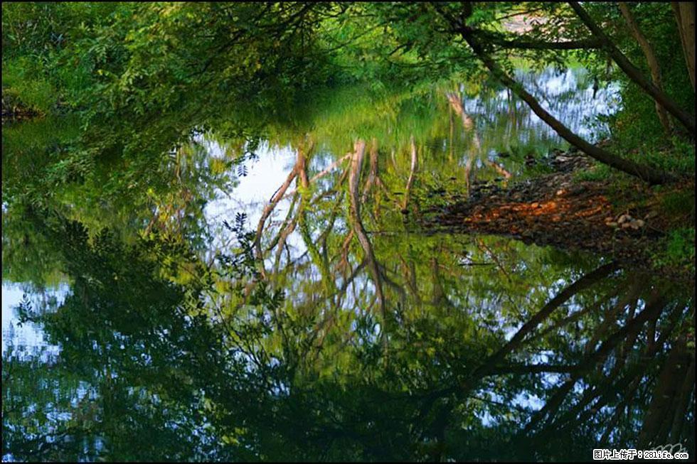 【春天,广西桂林灌阳县向您发出邀请!】熊家寨湿地公园 - 游山玩水 - 枣庄生活社区 - 枣庄28生活网 zaozhuang.28life.com