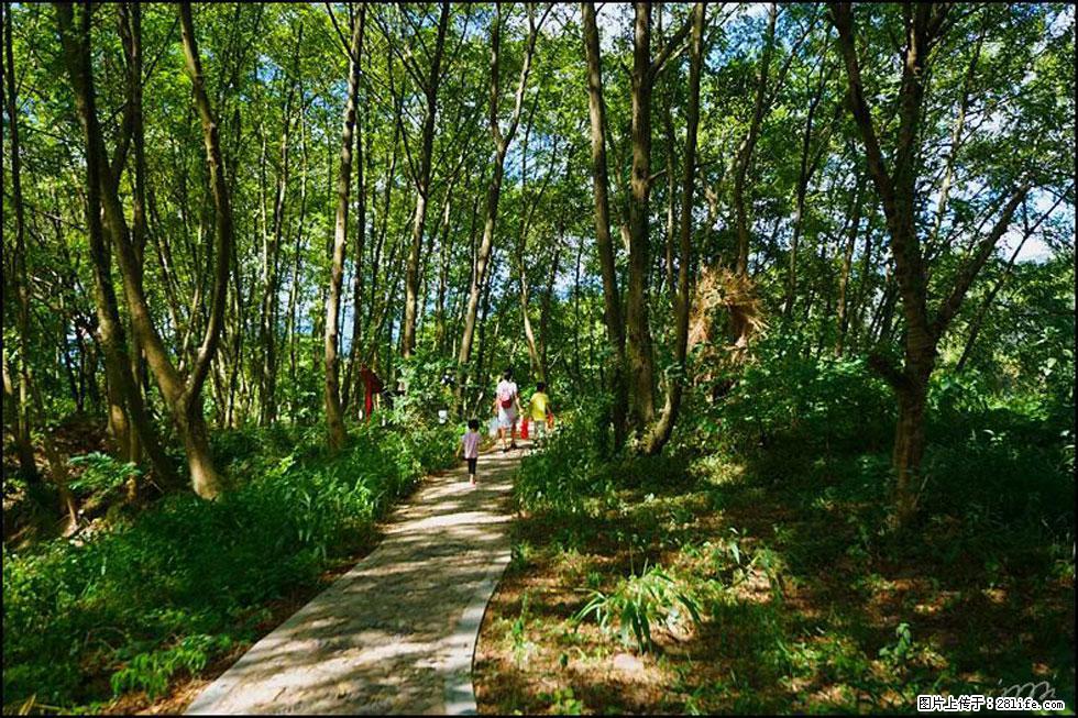 【春天,广西桂林灌阳县向您发出邀请!】熊家寨湿地公园 - 游山玩水 - 枣庄生活社区 - 枣庄28生活网 zaozhuang.28life.com