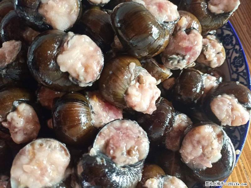 （舌尖上的乡村）灌阳：让人口齿留香的田螺酿 - 2023年07月31日 桂林日报第6版刊发 - 美食天地 - 枣庄生活社区 - 枣庄28生活网 zaozhuang.28life.com