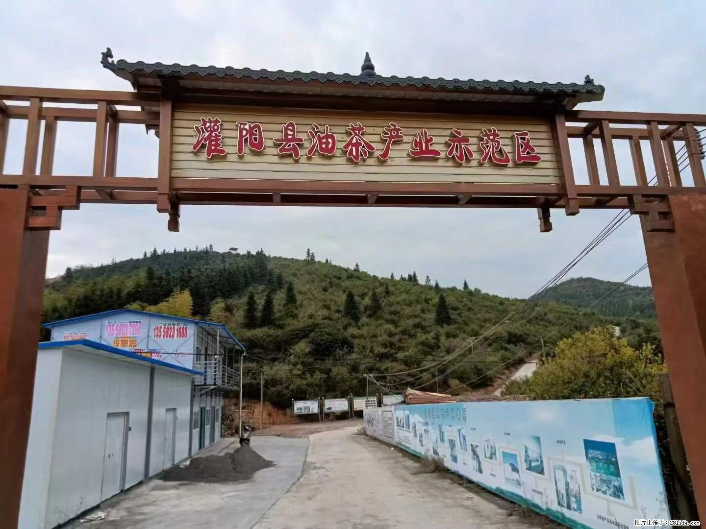 【灌阳县油茶产业示范区】一个有着充实的精神生活的人,对待身外之物自会有一种淡泊的态度 - 美食天地 - 枣庄生活社区 - 枣庄28生活网 zaozhuang.28life.com