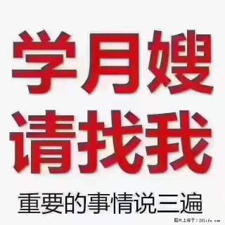 为什么要学习月嫂，育婴师？ - 枣庄28生活网 zaozhuang.28life.com