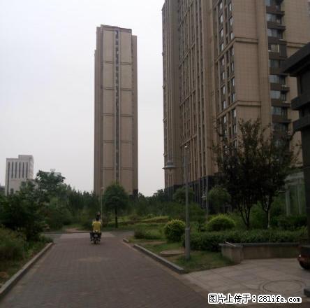 文化西路 未来城9层电梯房1室1厅67平方米精装修水电煤暖 - 房屋出租 - 房屋租售 - 枣庄分类信息 - 枣庄28生活网 zaozhuang.28life.com