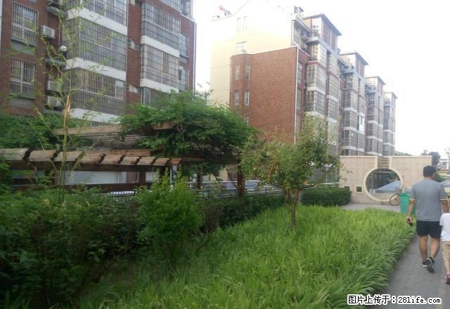 三角花园东 君府城6楼2室2厅100平方米中等装修水电煤暖 - 房屋出租 - 房屋租售 - 枣庄分类信息 - 枣庄28生活网 zaozhuang.28life.com