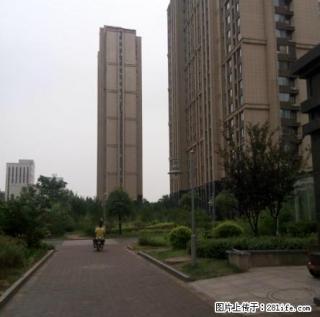 文化西路 未来城9层电梯房1室1厅67平方米精装修水电煤暖 - 枣庄28生活网 zaozhuang.28life.com