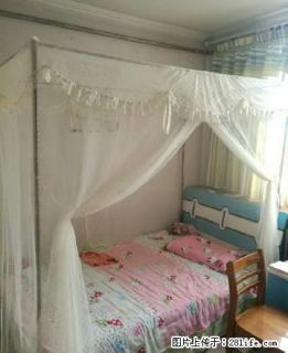 龙安街1楼2室1厅70平有院子。钥匙房，随时看房 - 枣庄28生活网 zaozhuang.28life.com