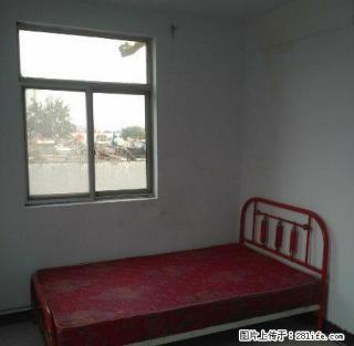 文化四村，5楼二室一厅65平方，太阳能，床，沙发，柜子，四全 - 枣庄28生活网 zaozhuang.28life.com