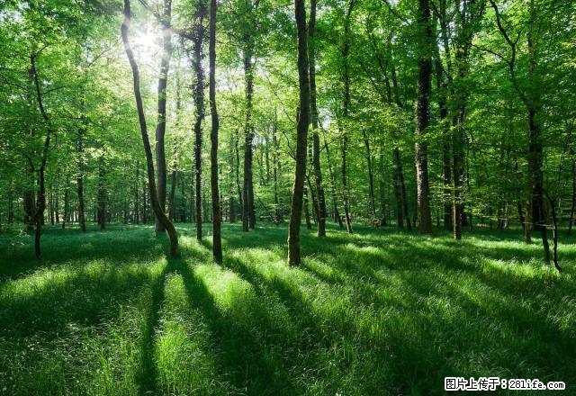 暖气费已交马庄市场永安新社区两室一厅二楼太阳能厨 - 房屋出租 - 房屋租售 - 枣庄分类信息 - 枣庄28生活网 zaozhuang.28life.com