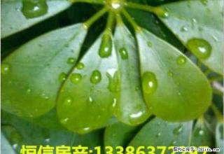 马庄市场永安新型社区两室一厅太阳能灶具床 - 枣庄28生活网 zaozhuang.28life.com