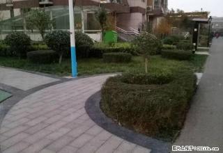 东湖豪庭三室两厅水电煤暖热水器窗帘灶具 - 枣庄28生活网 zaozhuang.28life.com