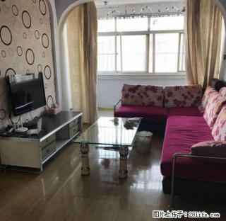 国税局宿舍 少年宫对年 位置好 设施全 - 枣庄28生活网 zaozhuang.28life.com