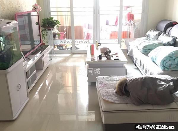 光明路旁 新大都 精装修 家具 家电齐全出租 - 房屋出租 - 房屋租售 - 枣庄分类信息 - 枣庄28生活网 zaozhuang.28life.com