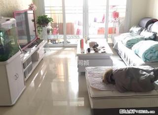 光明路旁 新大都 精装修 家具 家电齐全出租 - 枣庄28生活网 zaozhuang.28life.com