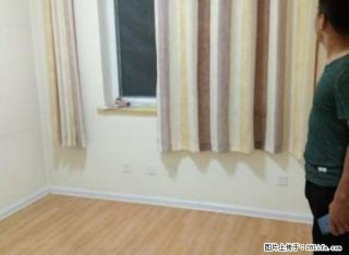 《顾家》白马庄园精装136平大3房1300/月出租 - 枣庄28生活网 zaozhuang.28life.com