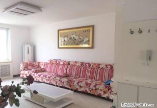 新城金地花园 中等装修 干净整洁 设施齐全出租 - 枣庄28生活网 zaozhuang.28life.com