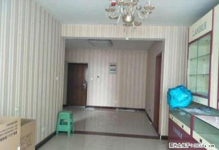 广泰花园银座万达一步之遥领包即住 - 枣庄28生活网 zaozhuang.28life.com