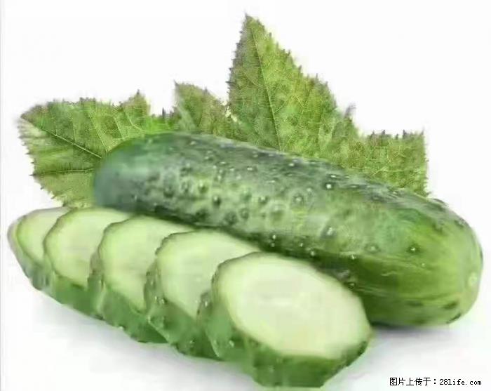 【生活小常识】吃黄瓜的好处 - 生活百科 - 枣庄生活社区 - 枣庄28生活网 zaozhuang.28life.com