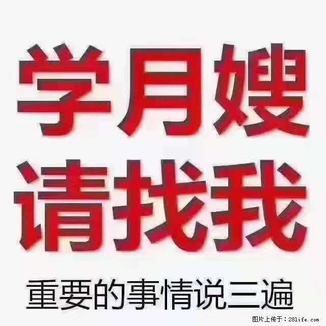 【招聘】月嫂,上海徐汇区 - 职场交流 - 枣庄生活社区 - 枣庄28生活网 zaozhuang.28life.com