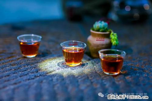 时间果百年古树2025年春红茶 - 购物交流 - 枣庄生活社区 - 枣庄28生活网 zaozhuang.28life.com