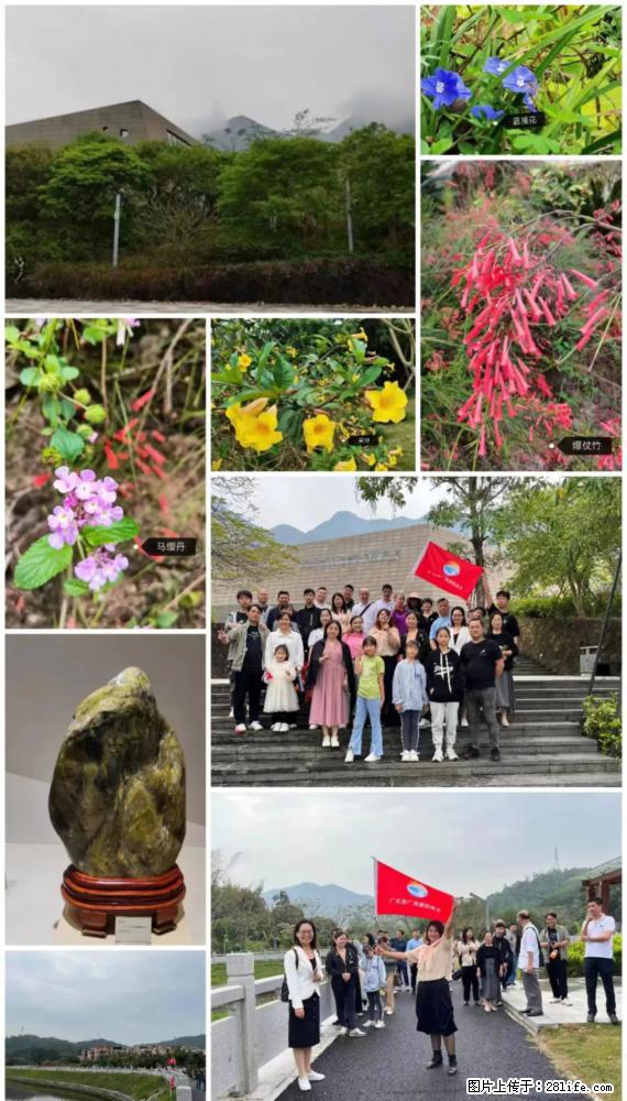 “粤灌文化 美好生活”油茶文化主题活动在广东深圳成功举办 - 枣庄生活资讯 - 枣庄28生活网 zaozhuang.28life.com