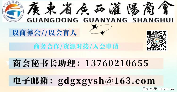 “粤灌文化 美好生活”油茶文化主题活动在广东深圳成功举办 - 枣庄生活资讯 - 枣庄28生活网 zaozhuang.28life.com