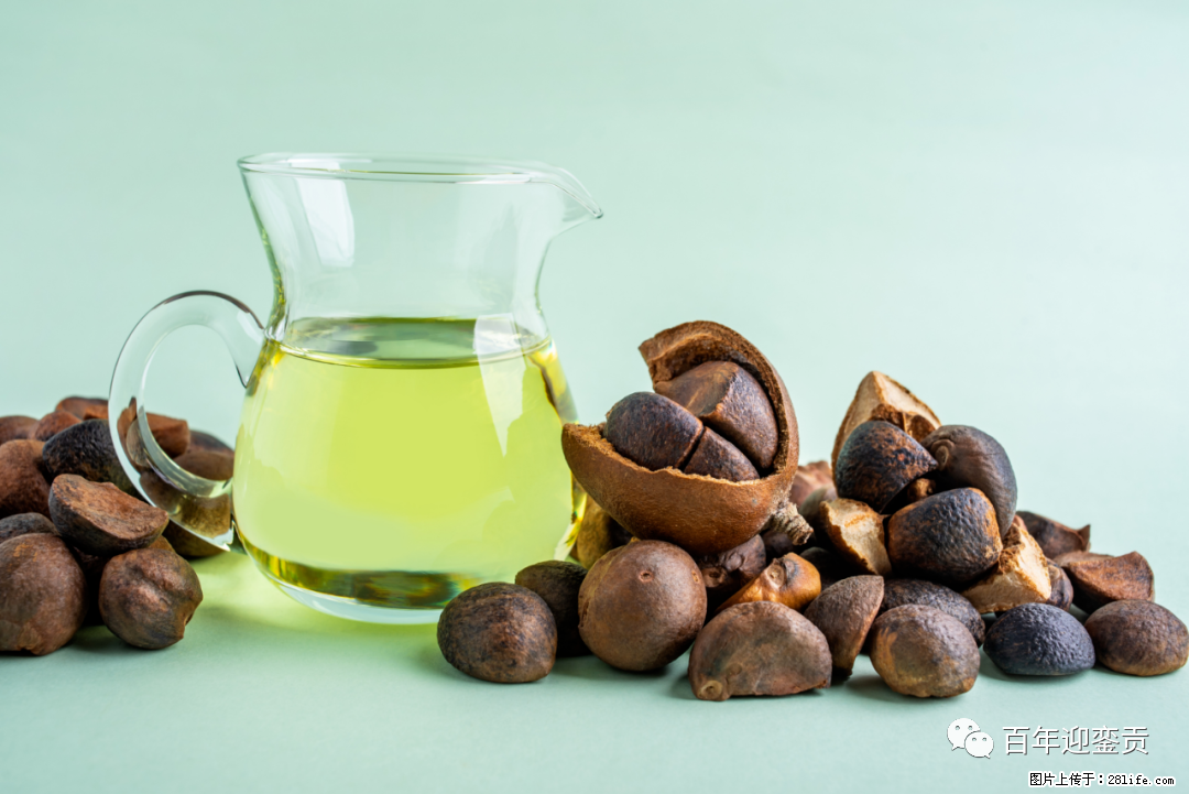揭秘茶油的5大核心营养成分！被称为人体健康的“守护盾”！ - 枣庄生活资讯 - 枣庄28生活网 zaozhuang.28life.com