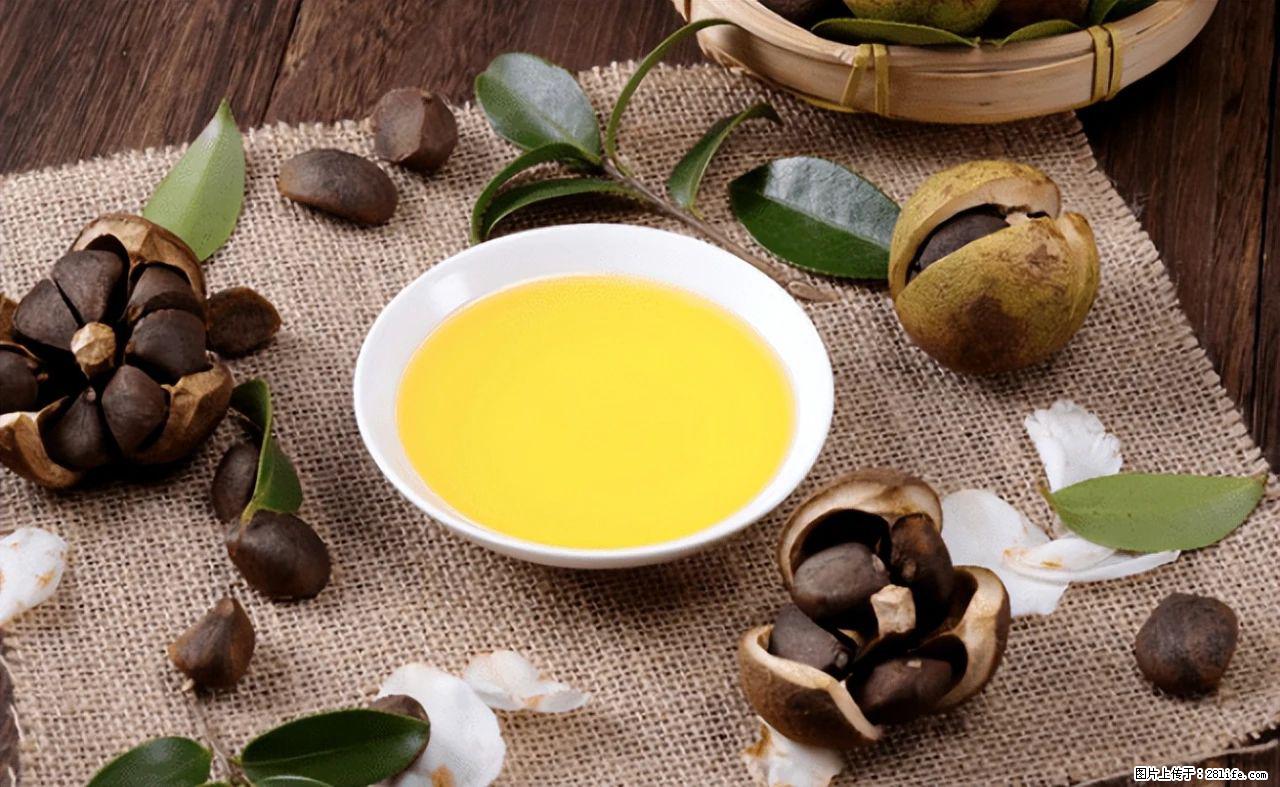 揭秘茶油的5大核心营养成分！被称为人体健康的“守护盾”！ - 枣庄生活资讯 - 枣庄28生活网 zaozhuang.28life.com