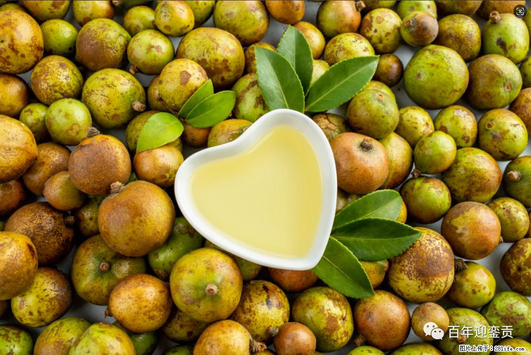 世界没有真相，只有认知，最好的食用油是中国的山茶油！ - 枣庄生活资讯 - 枣庄28生活网 zaozhuang.28life.com