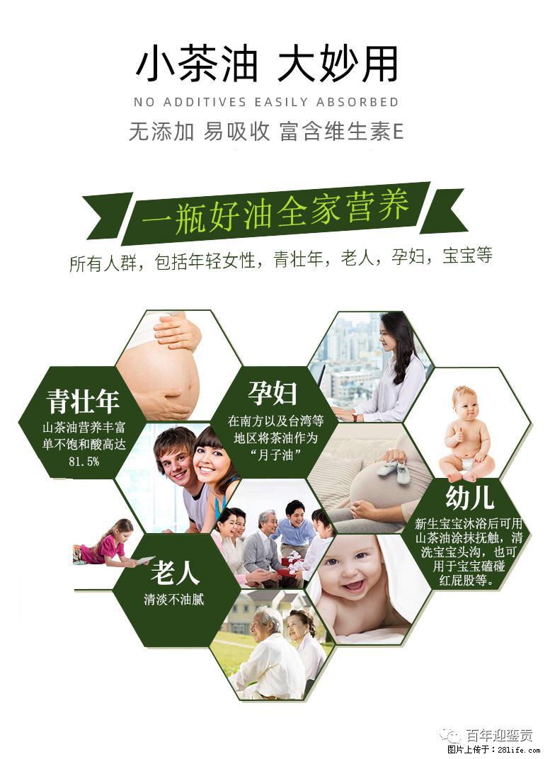 世界没有真相，只有认知，最好的食用油是中国的山茶油！ - 枣庄生活资讯 - 枣庄28生活网 zaozhuang.28life.com