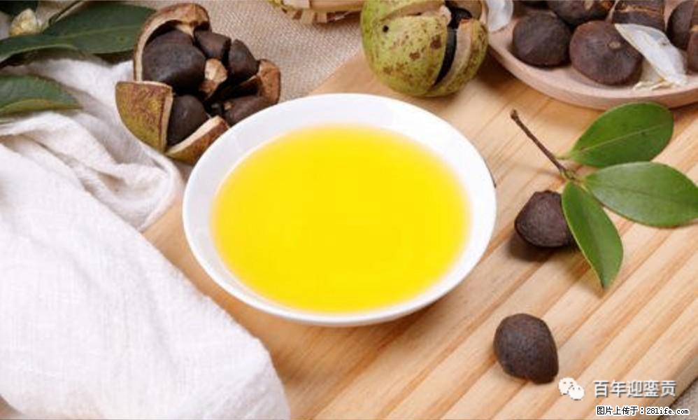 世界没有真相，只有认知，最好的食用油是中国的山茶油！ - 枣庄生活资讯 - 枣庄28生活网 zaozhuang.28life.com