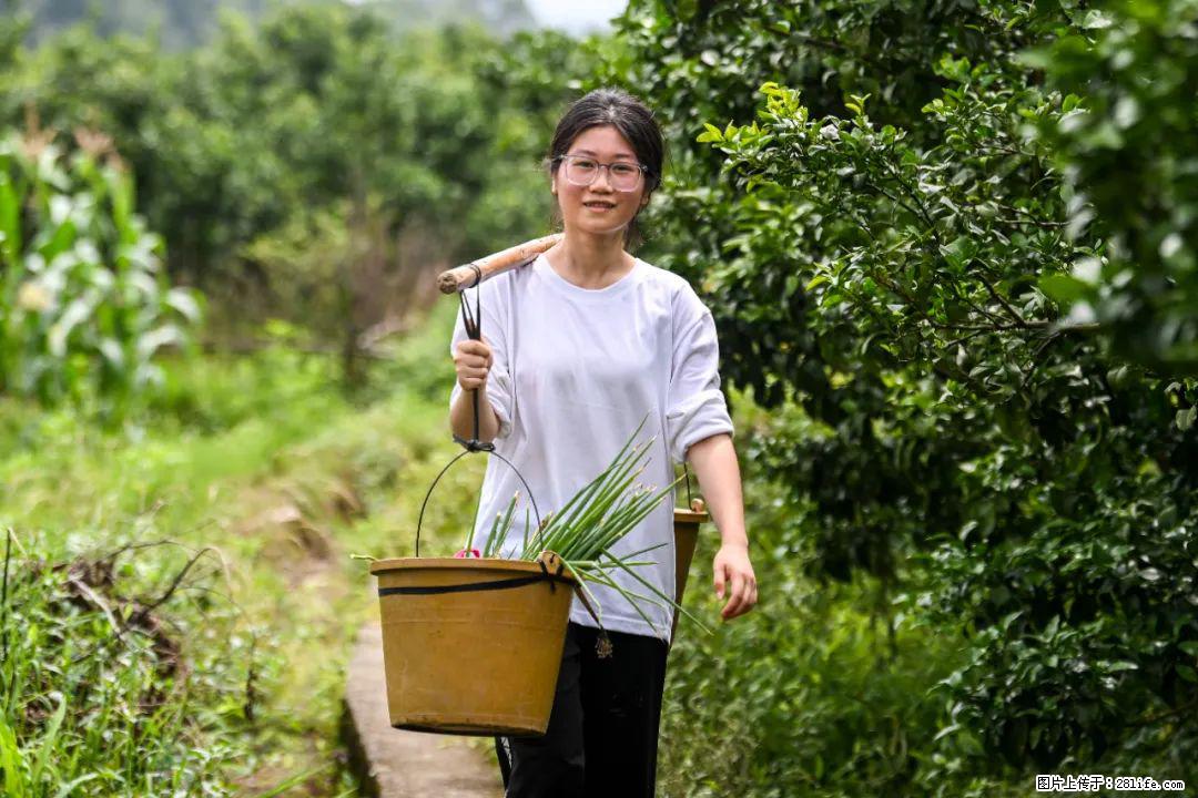 全网追的“扁担女孩”，找了一份暑假工，时薪12元 - 枣庄生活资讯 - 枣庄28生活网 zaozhuang.28life.com